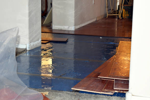 Professional Flood Damage Repair technician working in Purchase, NY
